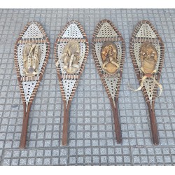 Esquies, Trineos y Raquetas...