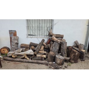 Troncos