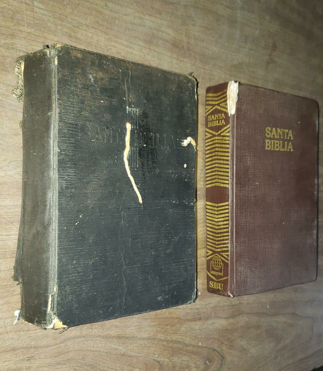 Biblia 4