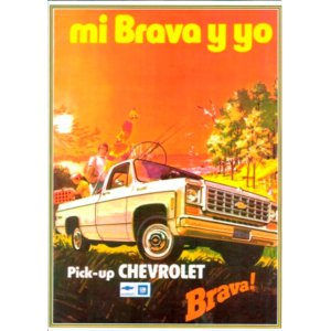 Carteles autos a confirmar cuales estan