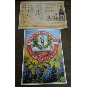 Carteles carton