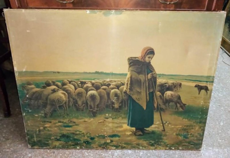 Cuadros Animales