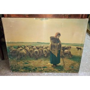 Cuadros Animales