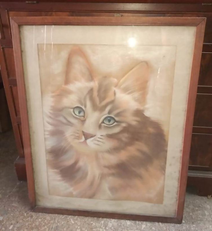 Cuadros Animales