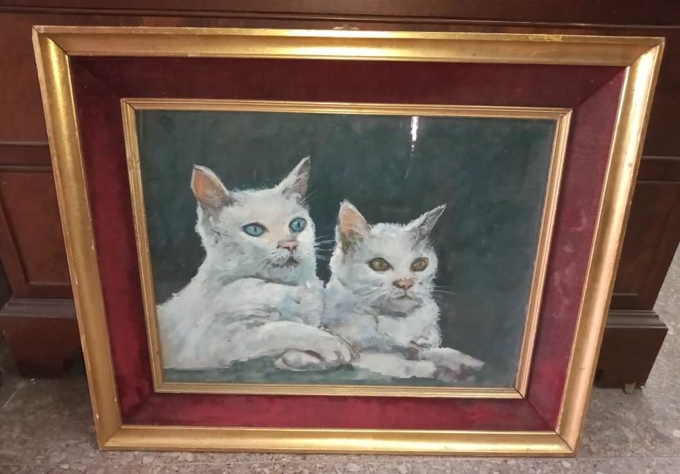 Cuadros Animales