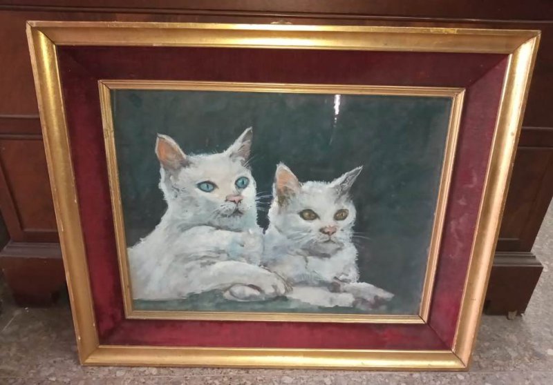 Cuadros Animales