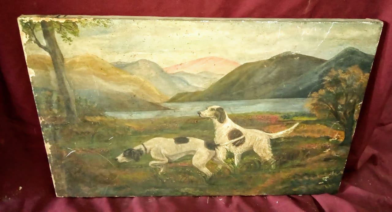 Cuadros Animales
