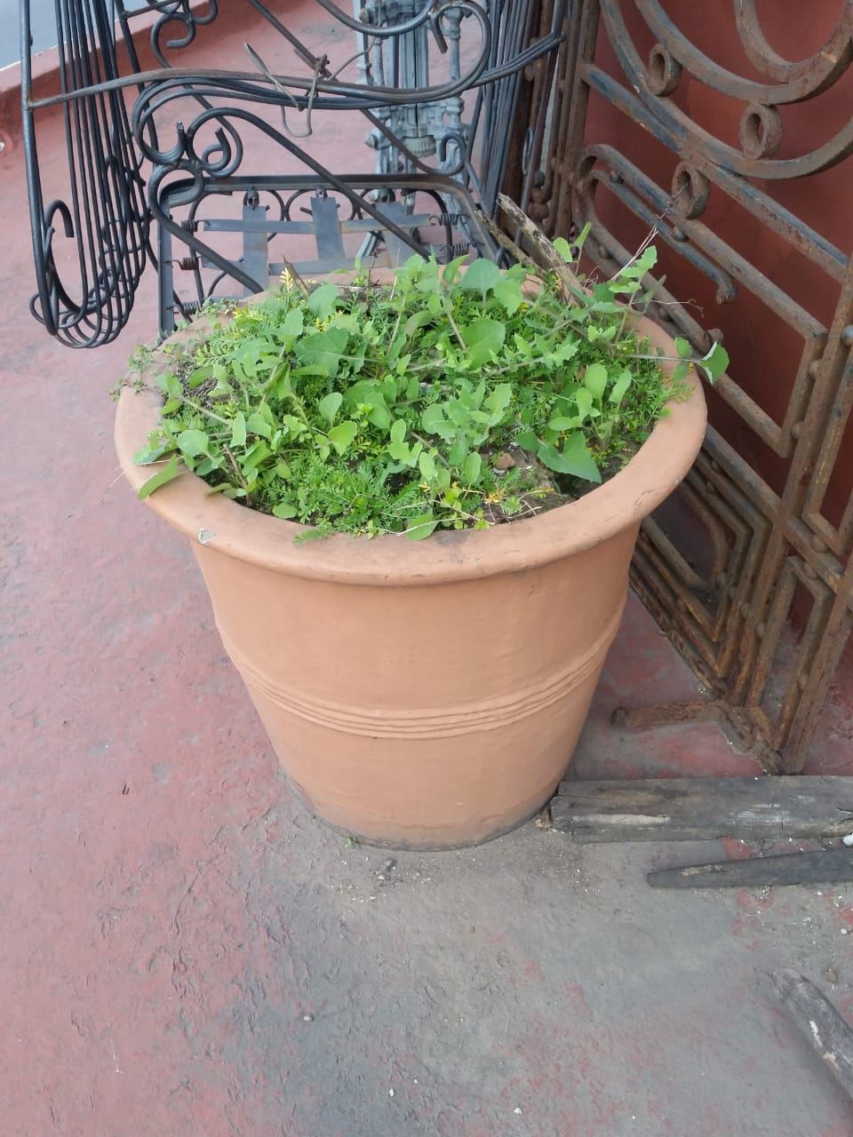 Maceteros