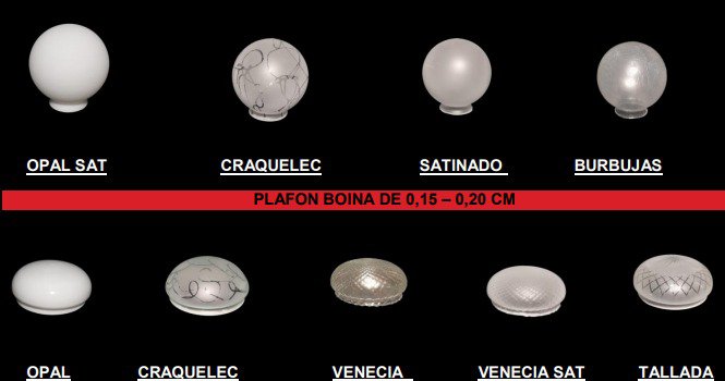 Tulipas Varias