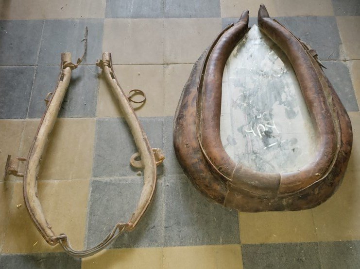 Articulos de campo