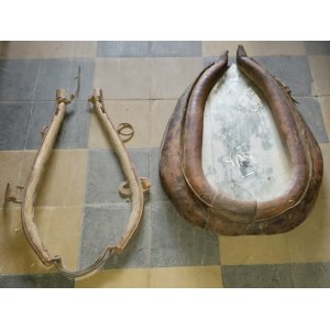 Articulos de campo