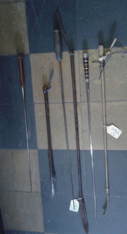 Articulos de campo
