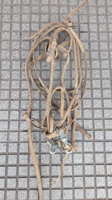 Articulos de campo