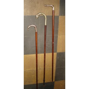 Bastones