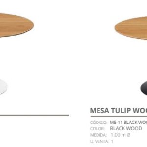 Mesa