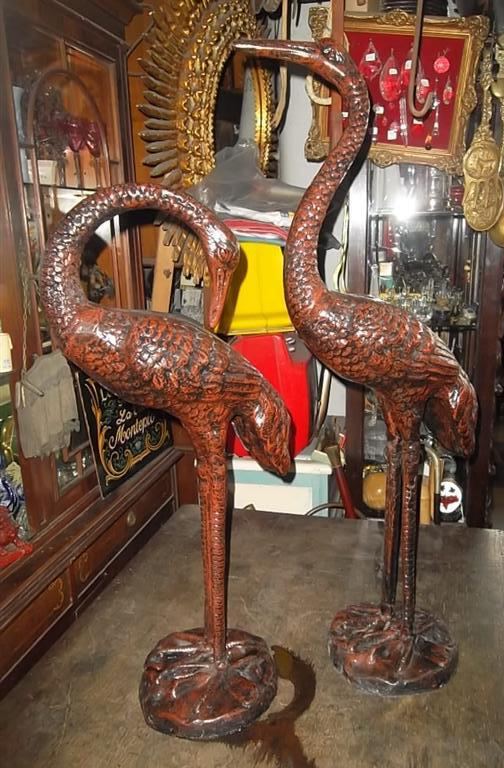 Sam 3607 (medium)