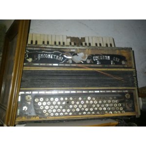 Acordeones / Bandoneones