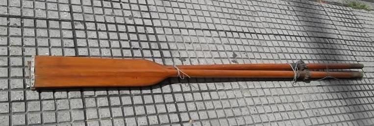 Esquies, Trineos y Raquetas