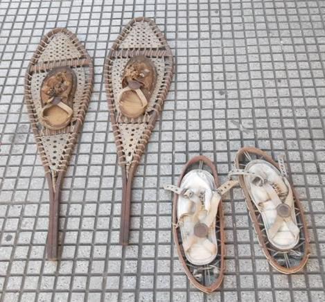 Esquies, Trineos y Raquetas