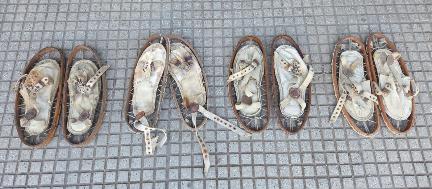 Esquies, Trineos y Raquetas