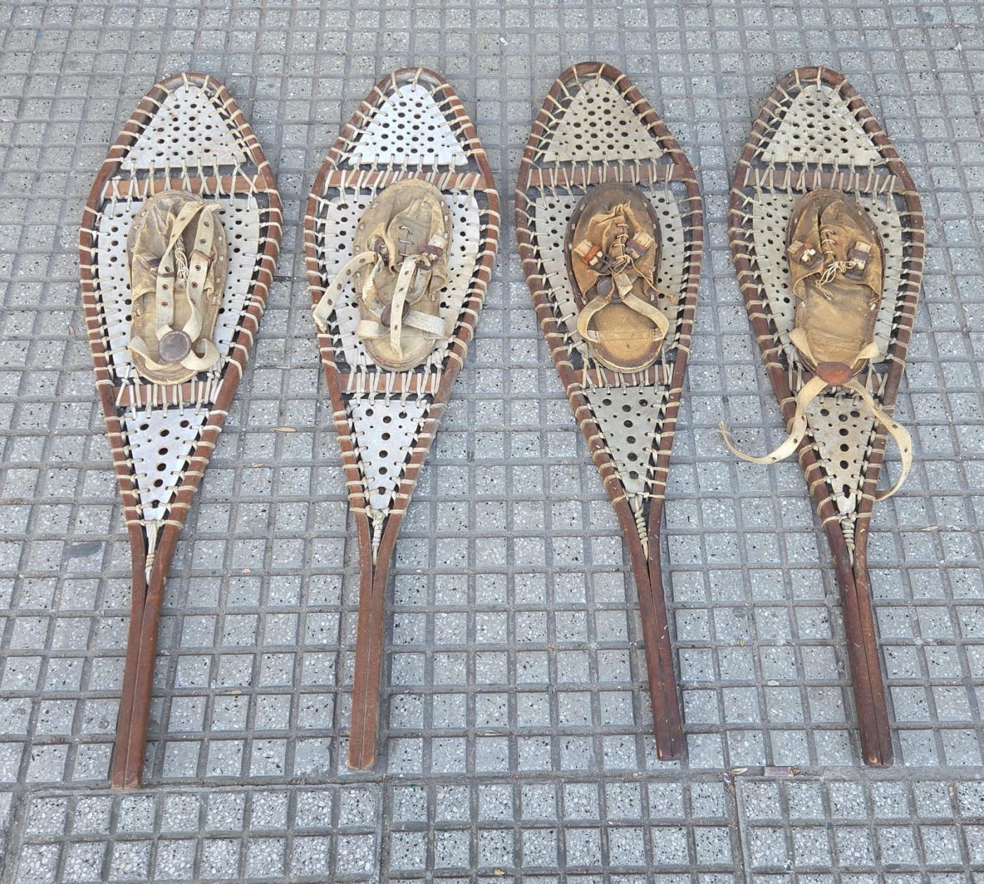 Esquies, Trineos y Raquetas