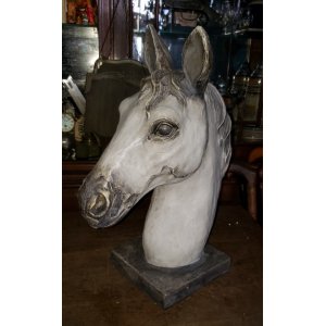 Caballos