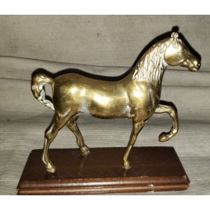 Caballos
