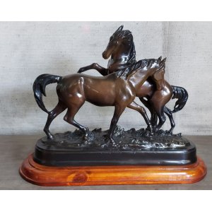 Caballos