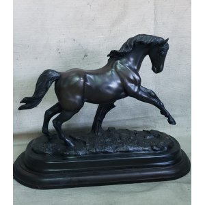 Caballos