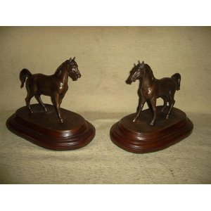 Caballos
