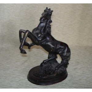 Caballos