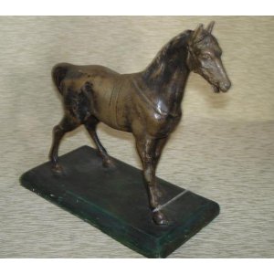 Caballos