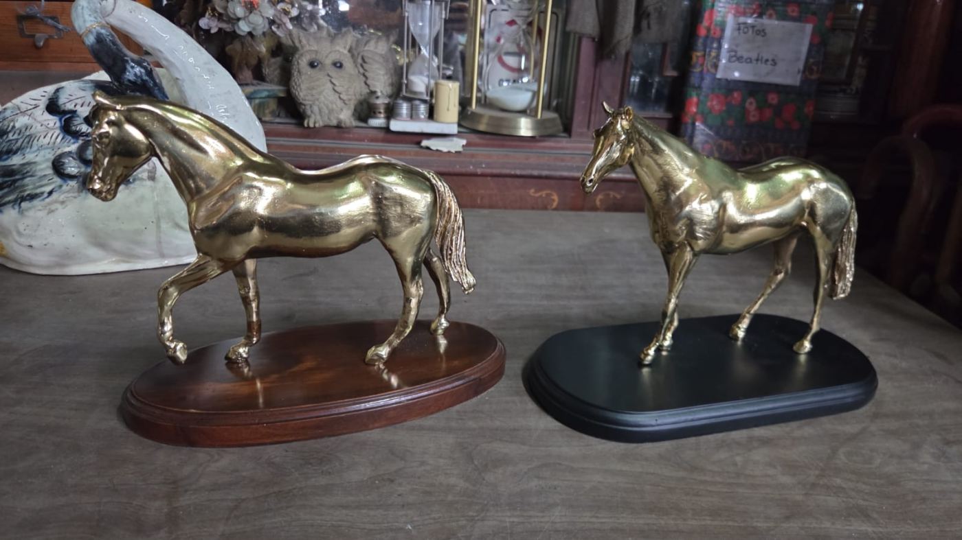 Caballos