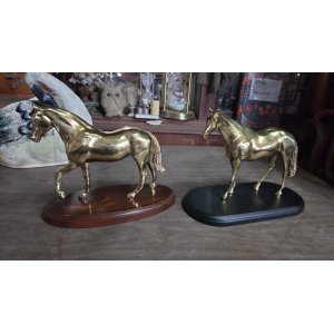 Caballos