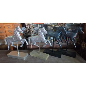 Caballos