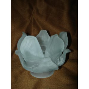 Tulipas de vidrio