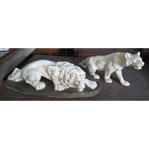 Fayance leones