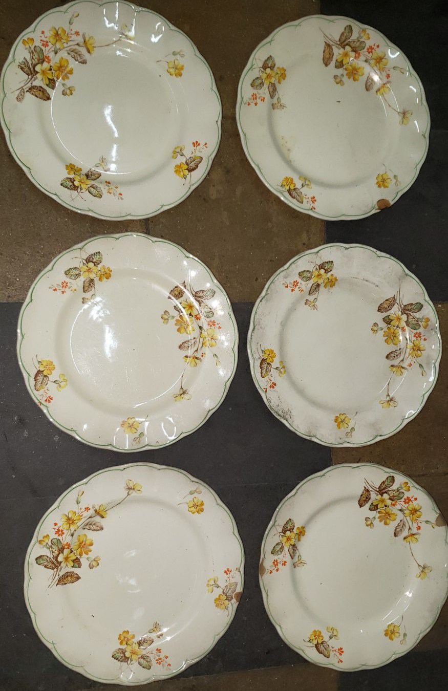Platos de colgar